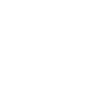 Services | Ascendeo Conseils