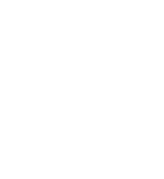 Services | Ascendeo Conseils