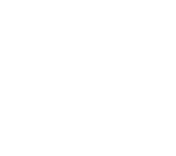 Services | Ascendeo Conseils