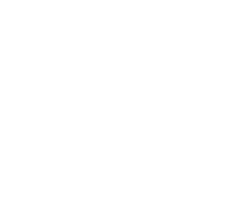 Services | Ascendeo Conseils