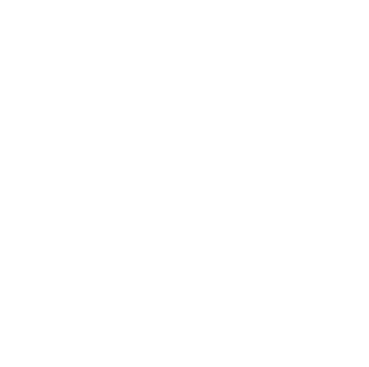 Services | Ascendeo Conseils