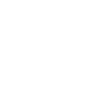 Services | Ascendeo Conseils