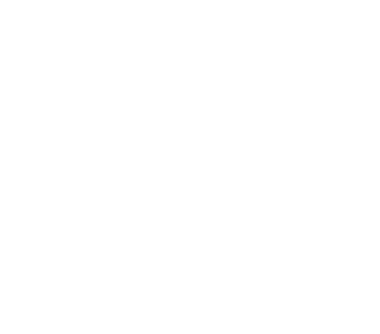 Services | Ascendeo Conseils