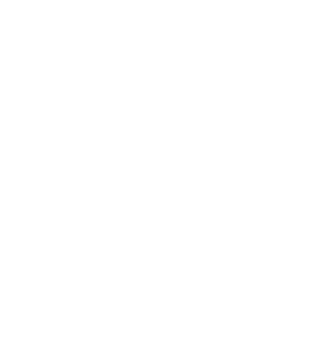 Services | Ascendeo Conseils