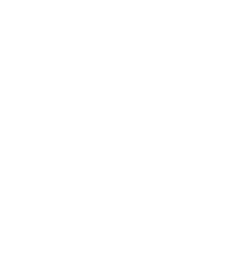 Services | Ascendeo Conseils