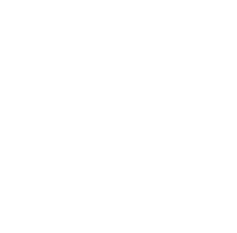 Services | Ascendeo Conseils